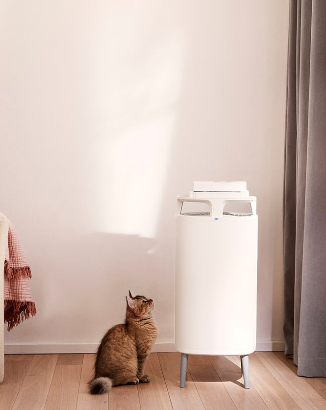 Blueair portable deals air purifier